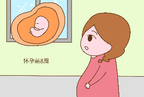 准妈妈必读,如何进行科学的安排胎教呢?
