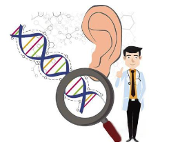 听力筛查仪解惑先天性耳聋的遗传类型有哪些?